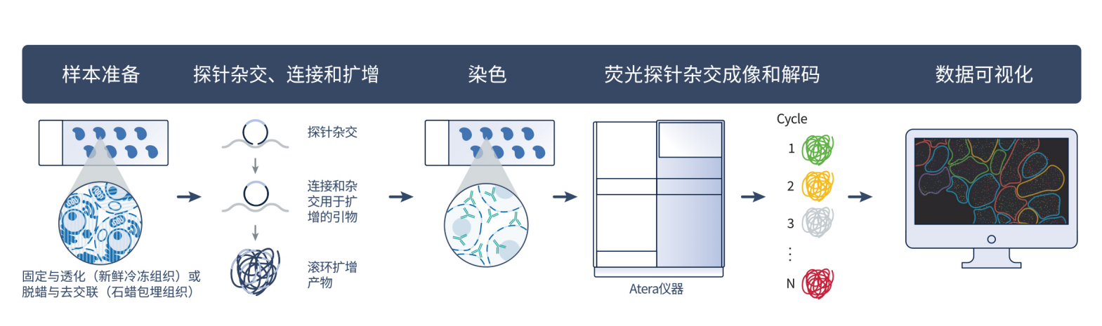 Atera流程