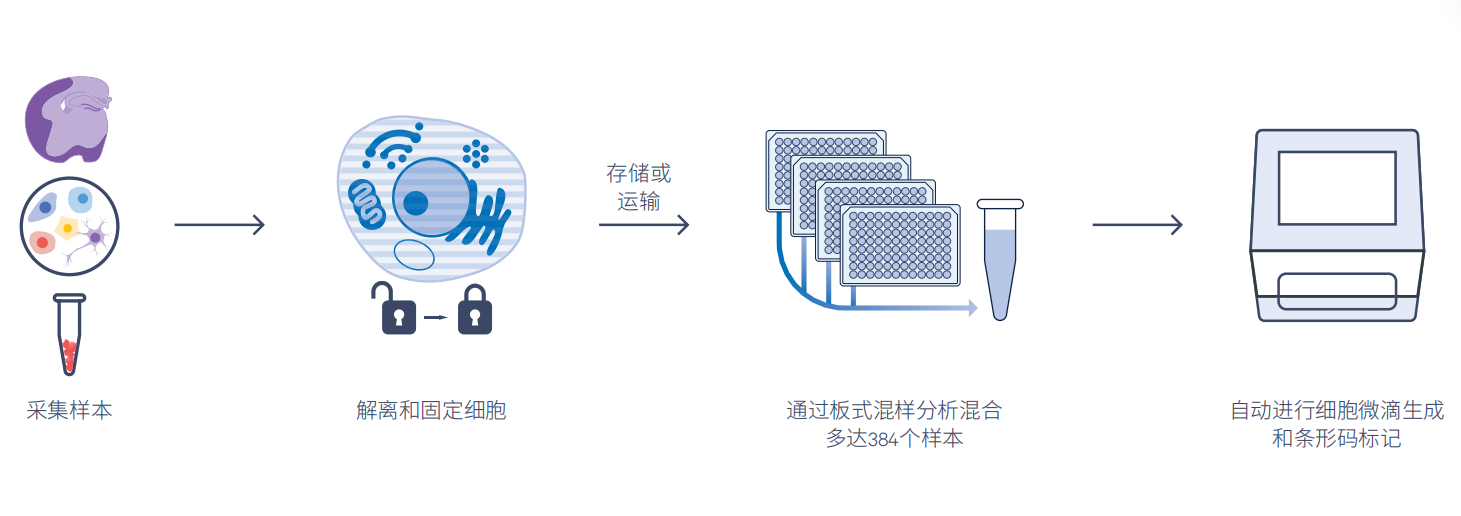 固定样本单细胞表达谱Flex Apex