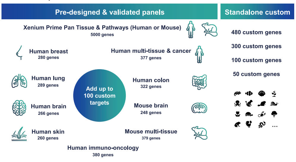 Xenium panel