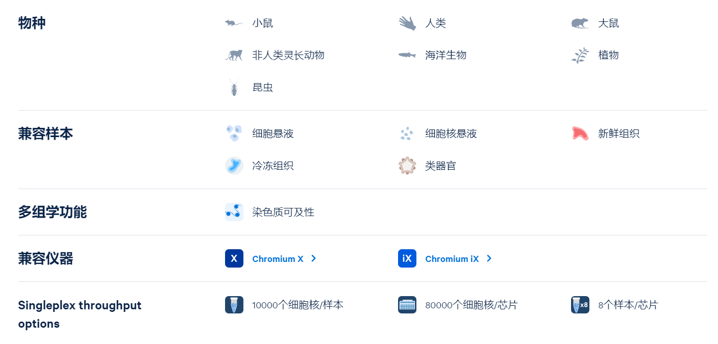 单细胞表观基因组学(ATAC v2)解决方案